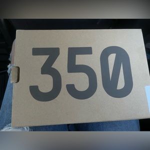 Yezzy shoes size 10k in kids